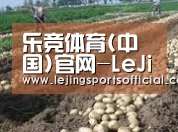 种植基地八