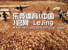 种植基地二
