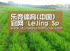种植基地四
