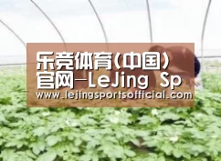 种植基地三