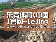 种植基地七(图1)