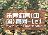 种植基地八(图1)