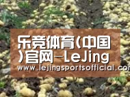 种植基地七