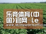 种植基地五(图1)