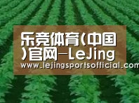 种植基地六(图1)