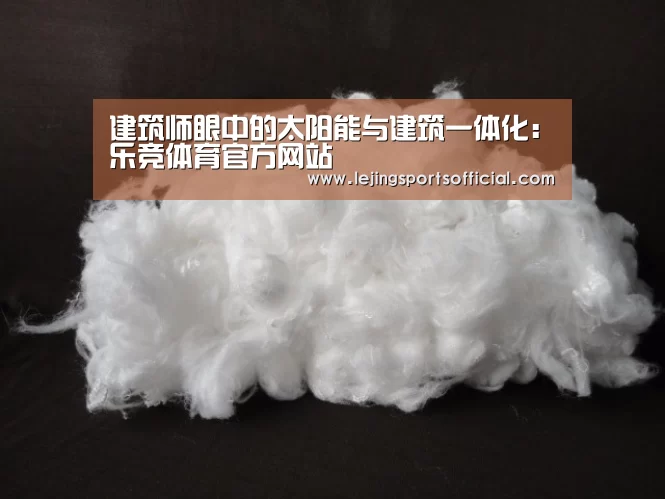 建筑师眼中的太阳能与建筑一体化:乐竞体育官方网站(图3) 乐竞体育