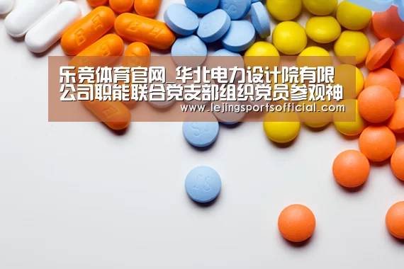 乐竞体育官网_华北电力设计院有限公司职能联合党支部组织党员参观神华国华(北京)燃气热电厂(图1) 乐竞体育官网入口